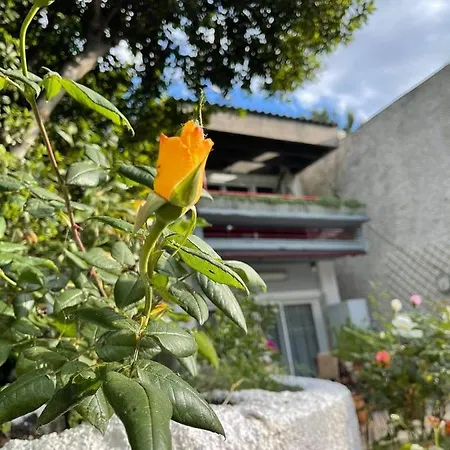 Villavictoria Marias View Pool * Peraía