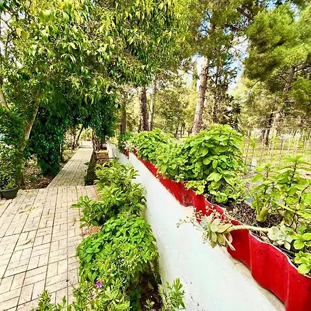 Villavictoria Marias View Pool Lejlighed *