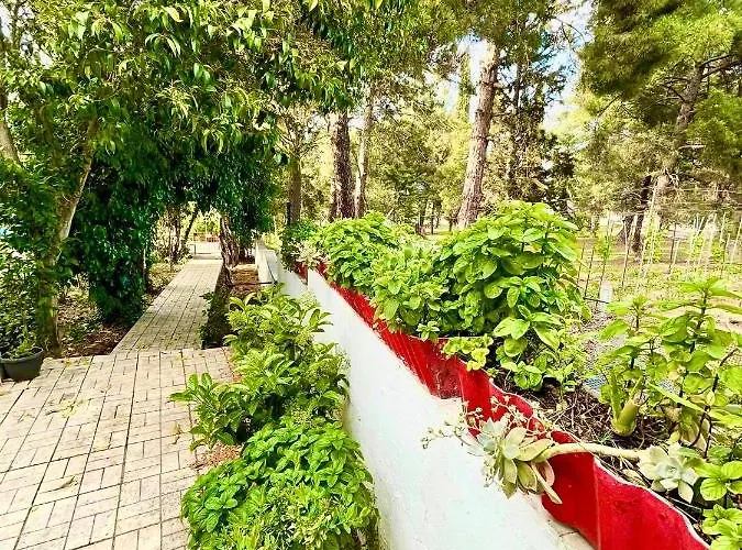 Villavictoria Marias View Pool Apartamento *