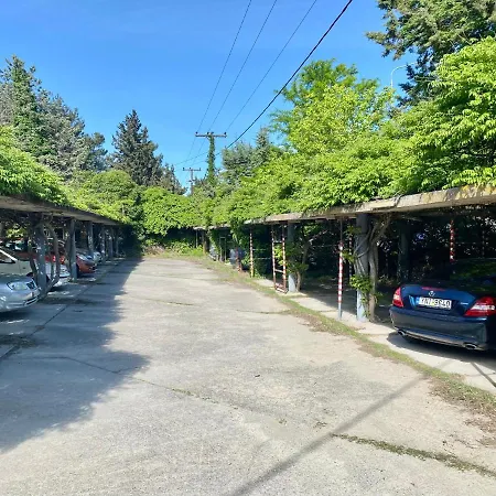 アパート Villavictoria Marias View Pool *